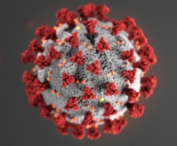미국 질병통제예방센터가 제작한 '코로나 19' 바이러스 모형도